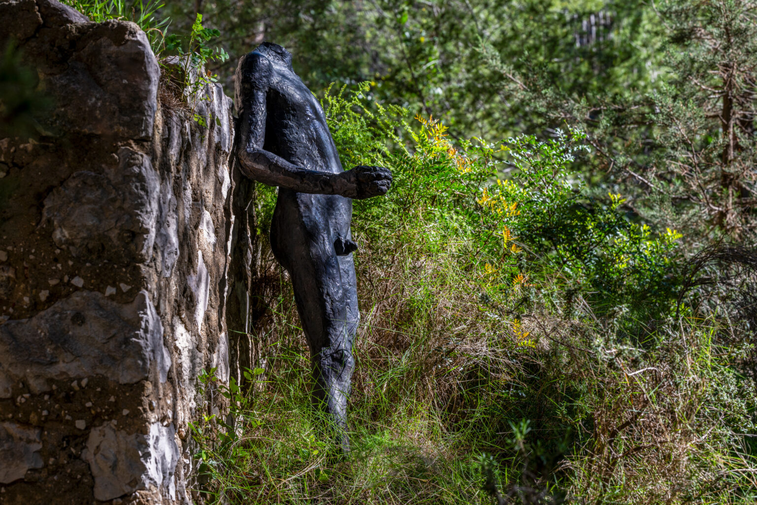 Torso I – Germaine Richier, photo 5